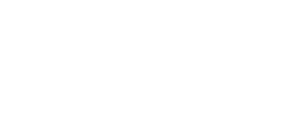 Logo-CAME